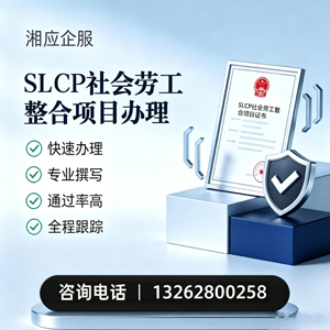 长春SLCP社会劳工整合项目申报服务