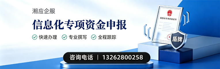 长春信息化专项资金申报服务