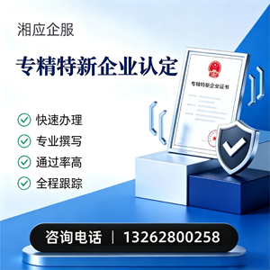 长春专精特新企业申报服务