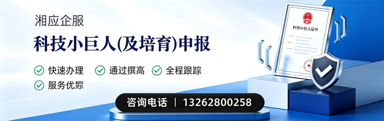 长春科技小巨人及培育企业申报服务