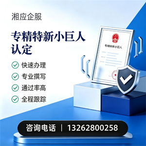 长春专精特新小巨人申报服务
