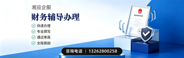 长春财务辅导申请服务