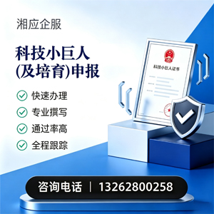 长春科技小巨人及培育企业申报服务