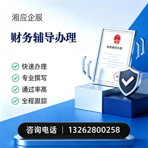 长春财务辅导申请服务