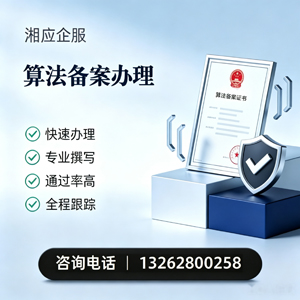 长春算法备案申报服务