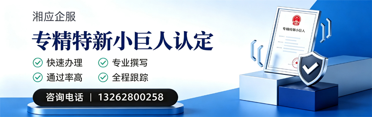 长春专精特新小巨人申报服务